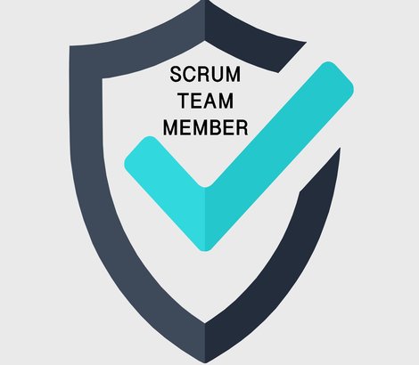 Scrum Team Member